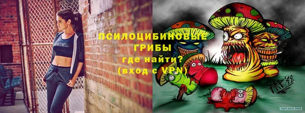 СК Алексин