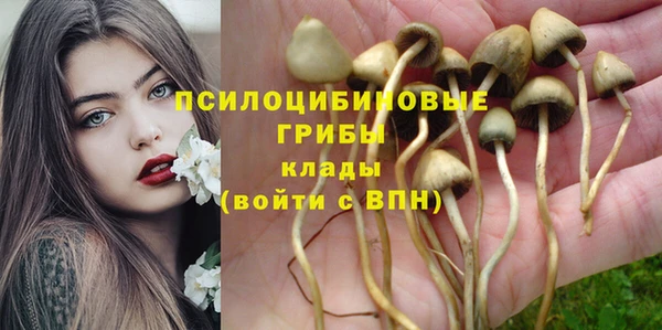 MDMA Premium VHQ Пестово